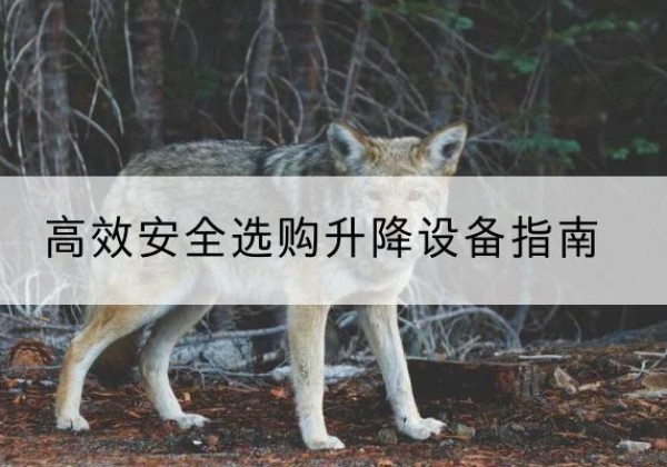 宽甸升降货梯厂家推荐-*安全选购升降设备指南