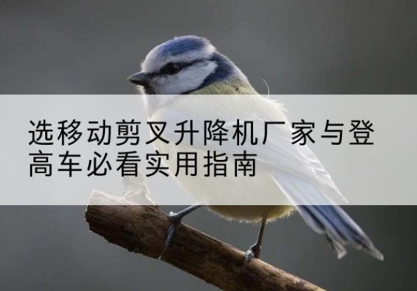 宽甸电动升降机厂家-选移动剪叉升降机厂家与登高车必看实用指南