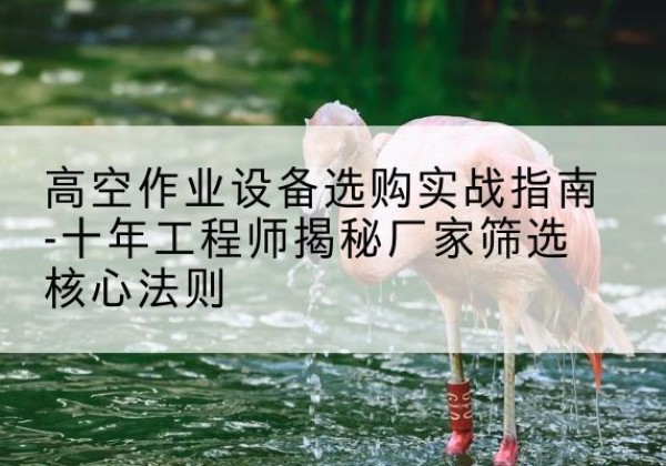 宽甸剪叉式升降机厂家-高空作业设备选购实战指南-十年工程师揭秘厂家筛选核心法则